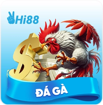 đá gà Hi88